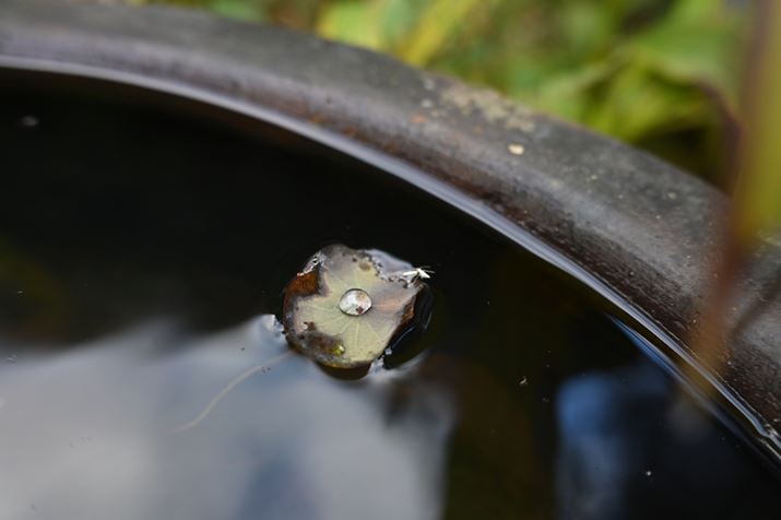 Z 6 IIANIKKOR Z 40mm f/4AISO400AF4A1/125bAzCgoXFI[g1i͋CcjAsN`[Rg[FX^_[hBeʐ^i6048×4024A9.3MBj