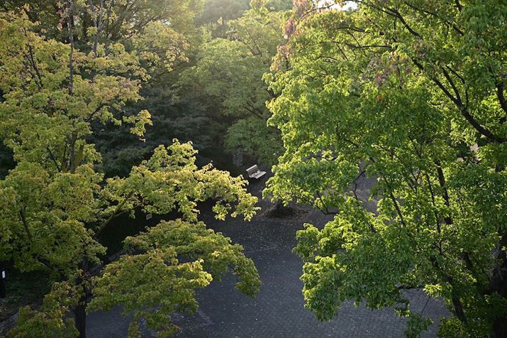 Z 6 IIANIKKOR Z 40mm f/4AISO100AF5.6A1/100bAzCgoXFI[g1i͋CcjAsN`[Rg[FX^_[hBeʐ^i6048×4024A21.1MBj