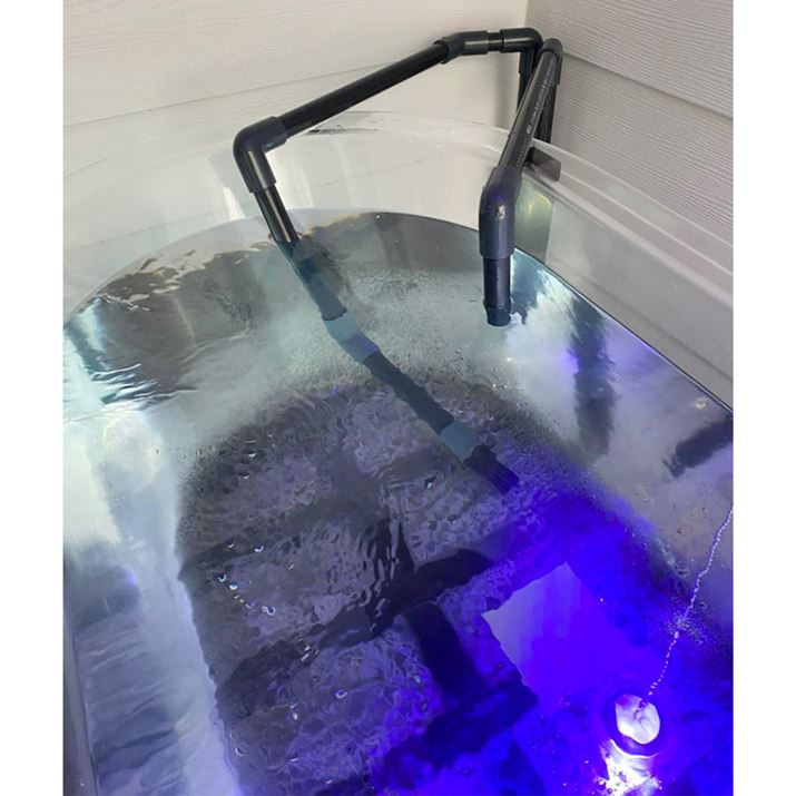 󋵂΁ACɂ͓ẐGꓪЂ