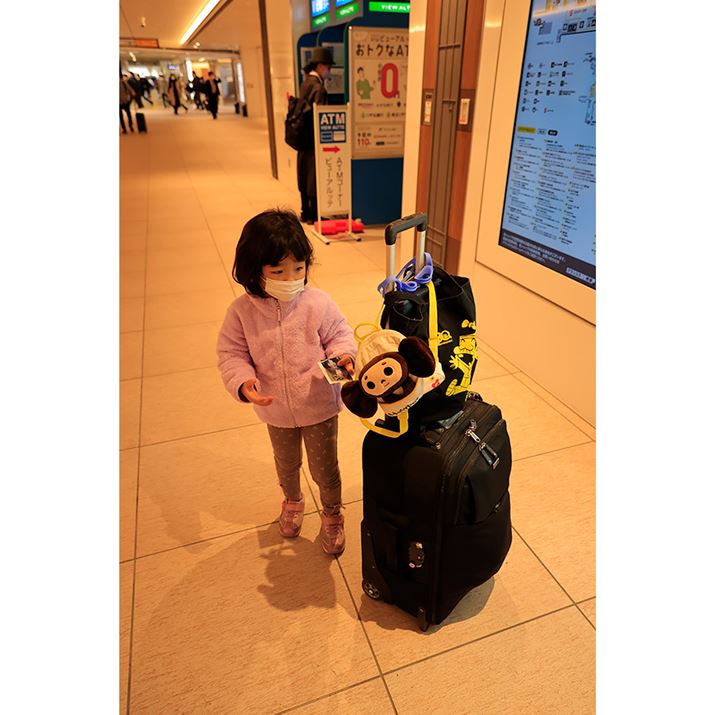 ƉוBsɌgтobO̒g͗mŁAŏIIɂ͂yYlߍޗ\B͍AJ̓JoɈؓꂸAɎ񂩂炳ĂBYԂȂ̂{Y[Y̑傫Ȗ͂EOS R6ARF24-240mm F4-6.3 IS USMA24mmAF4A1/250bAISO2500AzCgoXFzAsN`[X^CFi