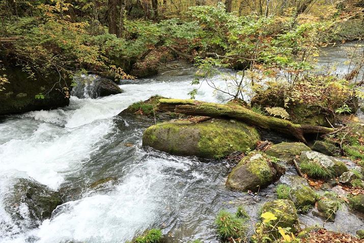 {Y[Y͕֗A͂掿CɂȂƂ낾Bł͍Lp[24mmAJilF4ŉ̌kBeBSt߂̉𑜊͏\Bӕ͂֊sɂނAʗڗAcȎeł͈͂EOS R6ARF24-240mm F4-6.3 IS USMA24mmAF4A1/200bAISO400AzCgoXFzAsN`[X^CFiBeʐ^i5472×3648A14.0MBj