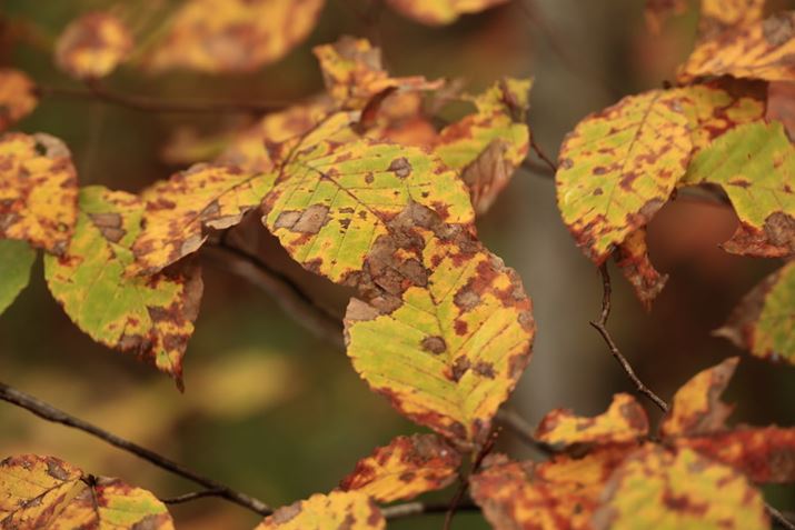 ]150mmōgtɃN[YAbvBO{PoȂA炩ƂƂŐ؂ꂽEOS R6ARF24-240mm F4-6.3 IS USMA150mmAF6.3A1/50bAISO400AzCgoXFAsN`[X^CFiBeʐ^i5472×3648A4.8MBj