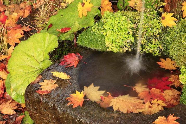 FÂtƂƂɁBォ痎鐅Ԃ炵āA莝ŒᑬVb^[؂B]𗘗pĂ0.4bAԂ̉e͌ȂBiȂǂAᒆxێȂ莝ŋCyɃXibvłEOS R6ARF24-240mm F4-6.3 IS USMA109mmAF16A0.4bAISO100AzCgoXFzAsN`[X^CFiBeʐ^i5472×3648A9.0MBj