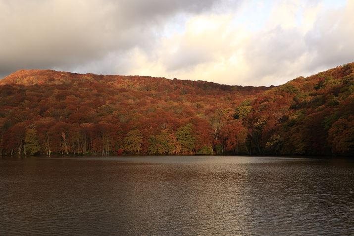 ӏ̕iBӏ͂̎AɏĂgtLB͎̓cOȂ炭󂾂AuƂ_EOS R6ARF24-240mm F4-6.3 IS USMA35mmAF6.3A1/60bAISO100AzCgoXFAsN`[X^CFiBeʐ^i5472×3648A7.8MBj