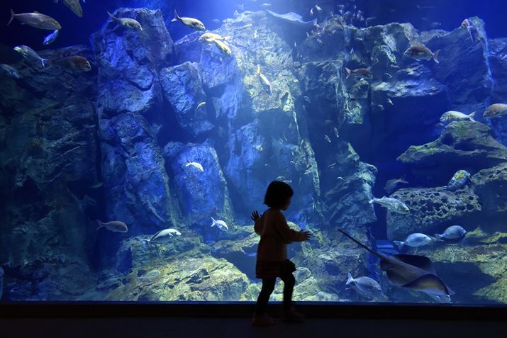 jł͐قɂB傫ȐwiɃVGbg`EOS R6ARF24-240mm F4-6.3 IS USMA24mmAF4A1/80bAISO10000AzCgoXFI[gi͋CDjAsN`[X^CFi