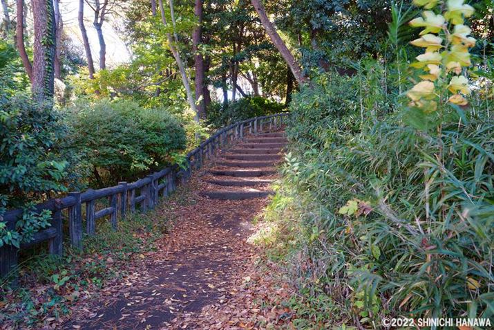 usNZVtg}`BevgEʐ^BVb^[Xs[h1/5bƒxݒ̂߁Aꕔ̑؂͕ɗhăuĂ邪Ał16Ƃ͎vȂقǎRȎdオ肾BȂ΁g΂̎Behłpł邾낤7R VAFE 24-70mm F2.8 GM IIA24mmAF2.8A1/5bAISO100AzCgoXFI[giWjANGCeBubNFVVBeʐ^i19008×12672A70.1MBAPhotoshopŒ쌠ǉj