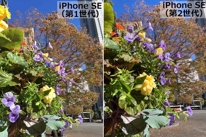 JŎʐ^BׂĂ݂B邢ꏊł͂قǍ͏oȂƎvA2ヂf́uX}[gHDRvɑΉĂA̐N₩ɎBełĂ