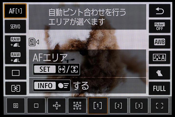 uEOS R6 Mark IIvł8ނAFGApӂĂB܂ł́u{ǔDAFvȂȂAꂼꎩ̍DȃTCYɒłutLVu][AFv́u1vu3vBAFGÁAwʂ̐p{^ŌĂяouNCbNݒvȒPɕύX\