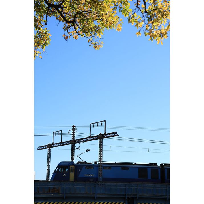 EOS R6 Mark IIARF24-105mm F4 L IS USMA70mmAF5.6A1/500bAISO100AzCgoXFzAsN`[X^CFikʐ^i2000×3000A3.4MBj