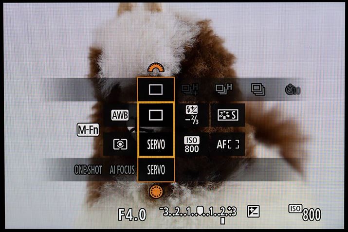 _Ct@NV@\́A2̃_CgEݒ肪\ɁB蓖Ă@\̃JX^}CY\B]f͂ЂƂύXłȂ̂ŗ֐