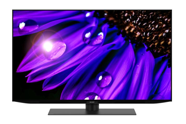 uEQ2vi48/42V^jсuEQ1vi77/65/55V^j́AV[v̗L@ELeruAQUOS OLEDṽX^_[hCBʃO[hiuES1vCƂ̑傫ȈႢ́AL@ELpl̕M\ɂBL@ELerŖ邢f𓾂悤ƂƁAǂĂfqMB̂߁AeЂ̏ʃO[híAƎ̕M\邱Ƃ̂