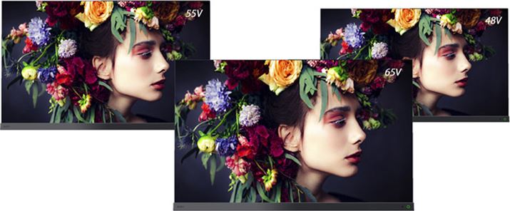 L@ELOU2021Nf̃nCGhCuX9400SvV[Y48V^f܂3TCYWJBu^CVtg}VvȂǂ̎v@\͍ŐVV[YƓBAHDMI2.1KĩT|[gALLM̂݁B4K/120p͂VRRAeARCɑΉȂƂɂ͒