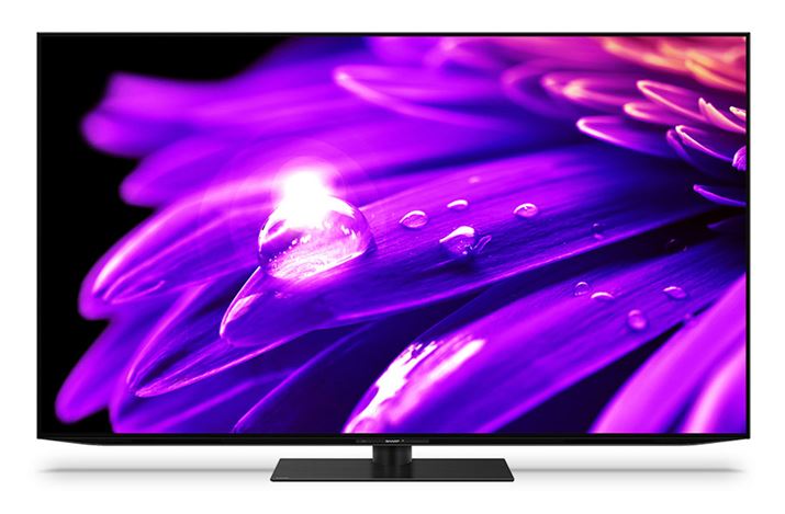 fGWuMedalist S3vɂ鎩掿[huAII[gvuES1vV[Y