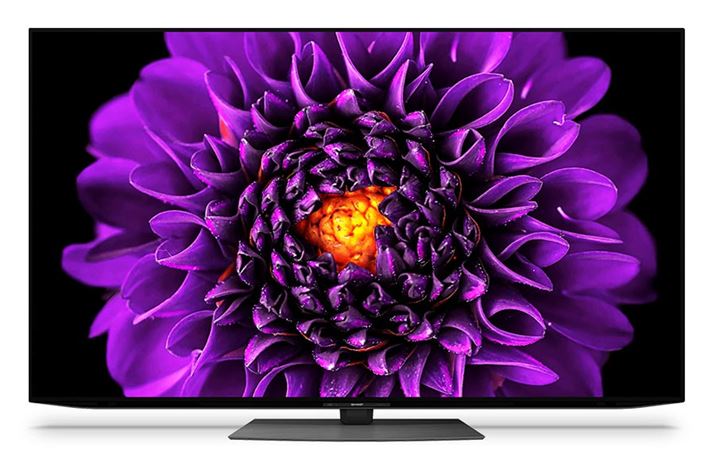 2021Nf́uDS1vV[YBPxL@ELpluS-Brightplv𓋍ڂ邱Ƃ2022Nf́uES1vV[YƓl