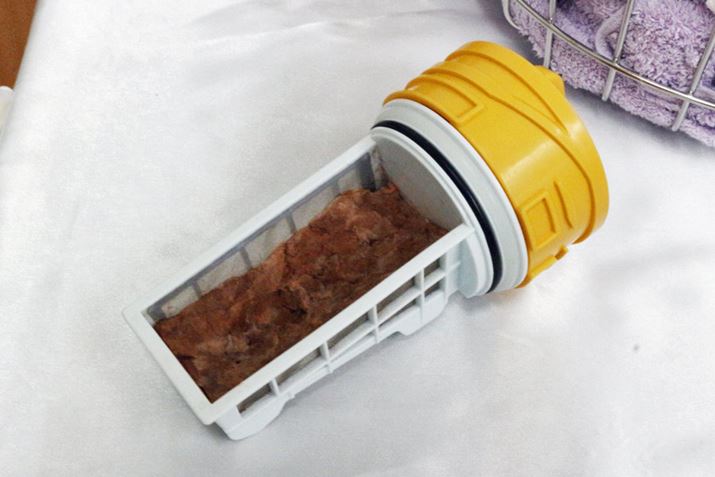 ۂɁA6kg̐󕨂WR[X30`^]̎tB^[̗lqB܂]T܂