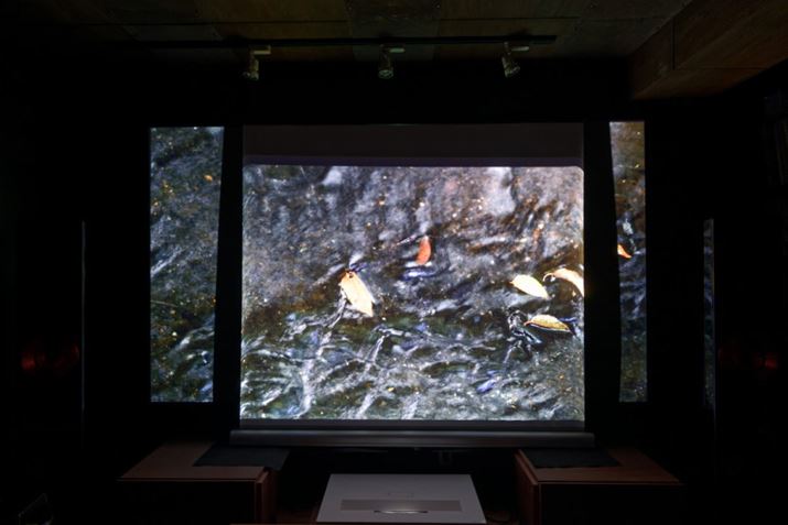 ugU^vXN[ALN`́uKUP-80WXFTvɒZœ_vWFN^[ŉf𓊎ʁBugU^vÂŎĝł΁Aǂ̂悤ȃ^CṽvWFN^[ɂtBbg͂ł