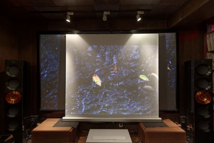 ƖtAXN[ɓĂƁAf̃RgXgĂ܂܂BugU^v͊Ỏe󂯂₷Ƃ킩܂