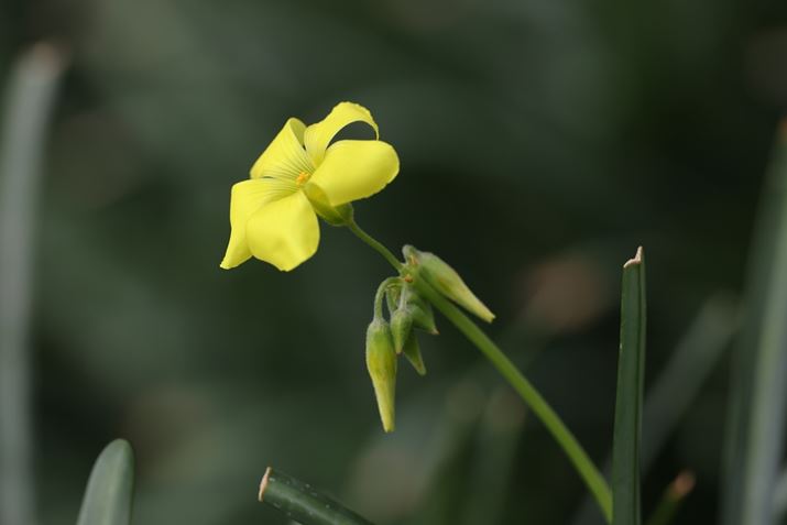 EOS R5ARF100-500mm F4.5-7.1 L IS USMA500mmAISO400AF8A1/640bAzCgoXFI[gi͋CDjAsN`[X^CFX^_[hBeʐ^i8192×5464A9.8MBj