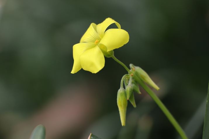 EOS R5ARF100-400mm F5.6-8 IS USMA400mmAISO400AF8A1/320bAzCgoXFI[gi͋CDjAsN`[X^CFX^_[hBeʐ^i8192×5464A10.3MBj