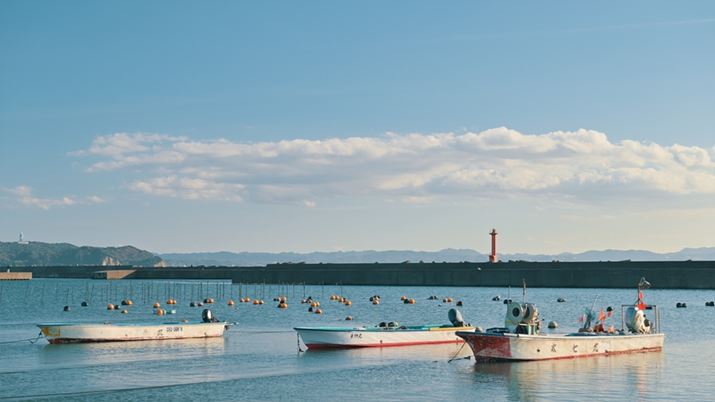 fACӂ̌iFBۓIȎʐ^Ɏdグ邽߂2lI񂾐ݒ́H