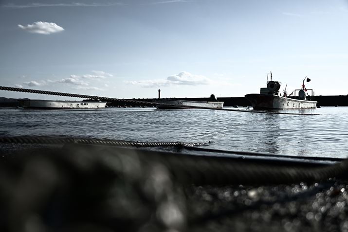 Z 50ANIKKOR Z DX 18-140mm f/3.5-6.3 VRA25.5mmAF3.8A1/2500bAISO100AzCgoXFVAsN`[Rg[Fh}Beʐ^i5568×3712A8.17MBj