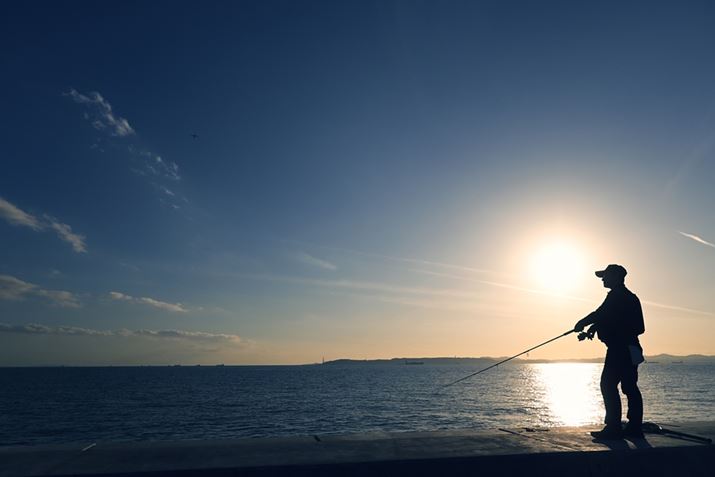 Z fcANIKKOR Z DX 16-50mm f/3.5-6.3 VRA16mmi35mmZ24mmjAF5A1/3200bA ISO100AzCgoXFVAsN`[Rg[FgCBeʐ^i5568×3712A7.69MBj