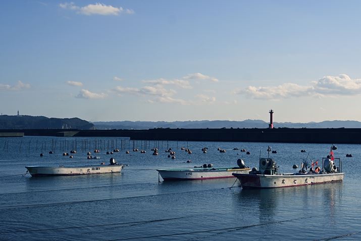 Z fcANIKKOR Z 40mm f/2