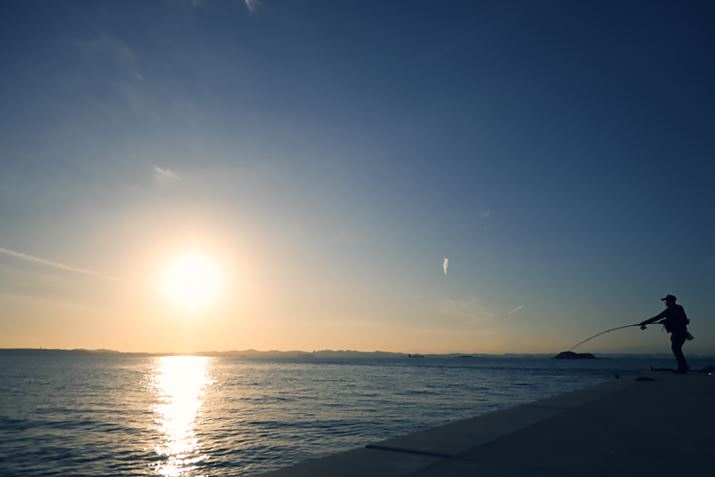 Z fcANIKKOR Z DX 16-50mm f/3.5-6.3 VR