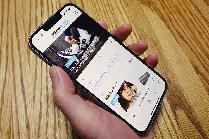 Ɏ܂銴΂炵BProƃfJĕsȂłȀꍇcc