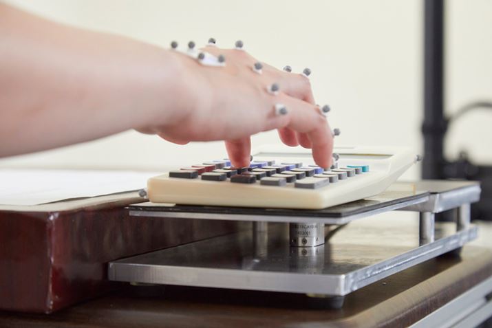 Jɂ̓[VLv`[pāAŌ̉E̓𕪐