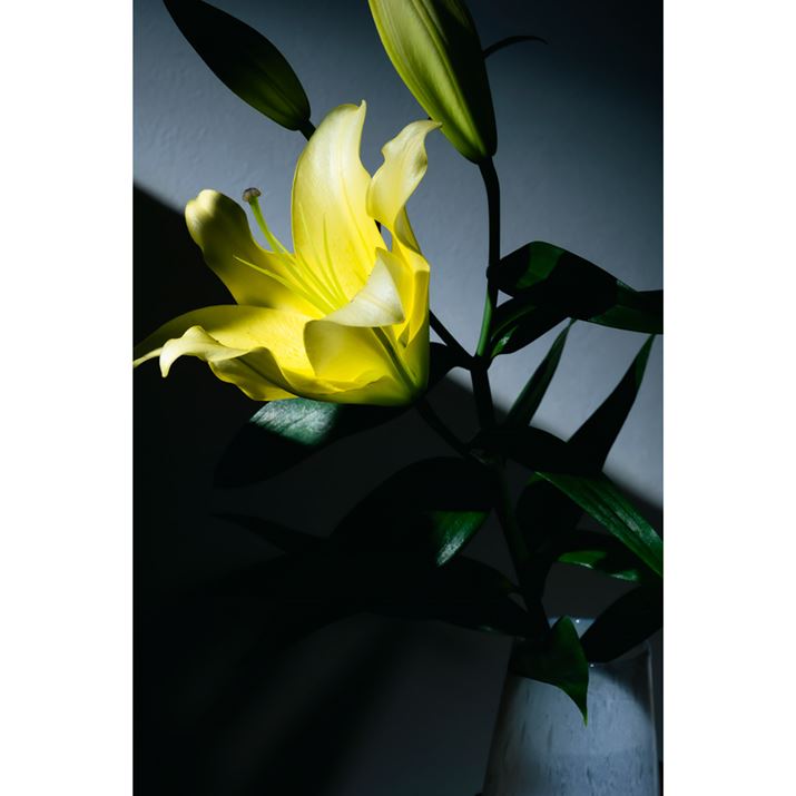 EOS R6AEF85mm F1.4 L IS USMAF16A1/200bAISO400Beʐ^i3648×5472A6.1MBj