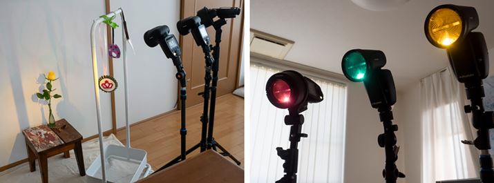 ۂ̎BeiBRƎˁBpx́AԂ̔w̉ȅoȂ璲B̂܂܂ł悢̂AɎOɎՕzuāAR̂eɉĂ݂