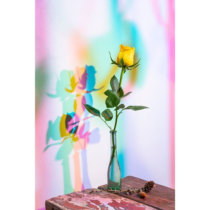 EOS R6AEF24-70mm F2.8 L U USMAF6.3A1/200bAISO100Beʐ^i3648×5472A7.9MBj