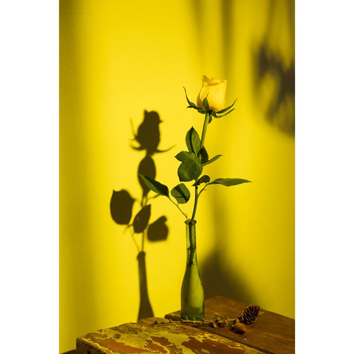 EOS R6AEF24-70mm F2.8 L U USMAF4A1/200bAISO100Beʐ^i3648×5472A6.9MBj