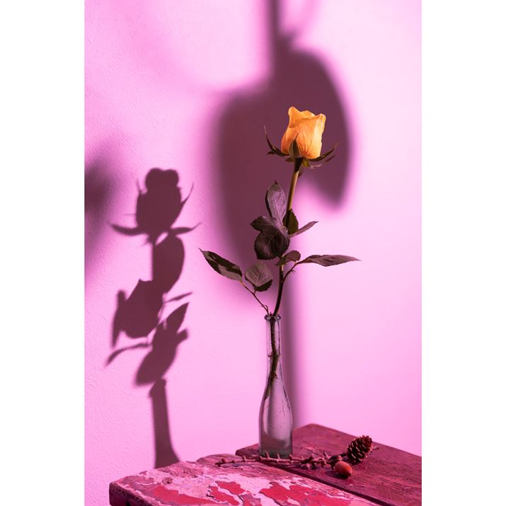 EOS R6AEF24-70mm F2.8 L U USMAF4A1/200bAISO100Beʐ^i3648×5472A8.0MBj