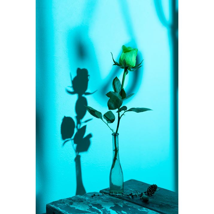 EOS R6AEF24-70mm F2.8 L U USMAF4A1/200bAISO100Beʐ^i3648×5472A8.9MBj