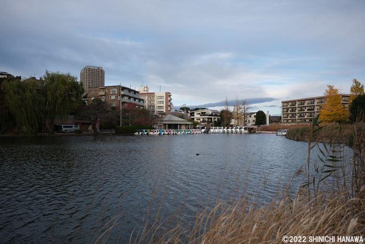 X-T5AXF18mmF1.4 R LM WRAF1.4A1/2900bAISO125AzCgoXFI[gizCgDjAtBV~[VFPROVIA/X^_[hBeʐ^i7728×5152A21.5MBAPhotoshopŒ쌠ǉj