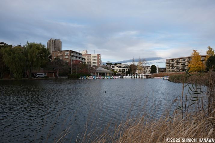 X-T5AXF18mmF1.4 R LM WRAF2A1/1600bAISO125AzCgoXFI[gizCgDjAtBV~[VFPROVIA/X^_[hBeʐ^i7728×5152A21.6MBAPhotoshopŒ쌠ǉj