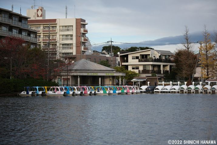 X-T5AXF56mmF1.2 R WRAF1.2A1/3800bAISO125AzCgoXFI[gizCgDjAtBV~[VFPROVIA/X^_[hBeʐ^i7728×5152A20.9MBAPhotoshopŒ쌠ǉj