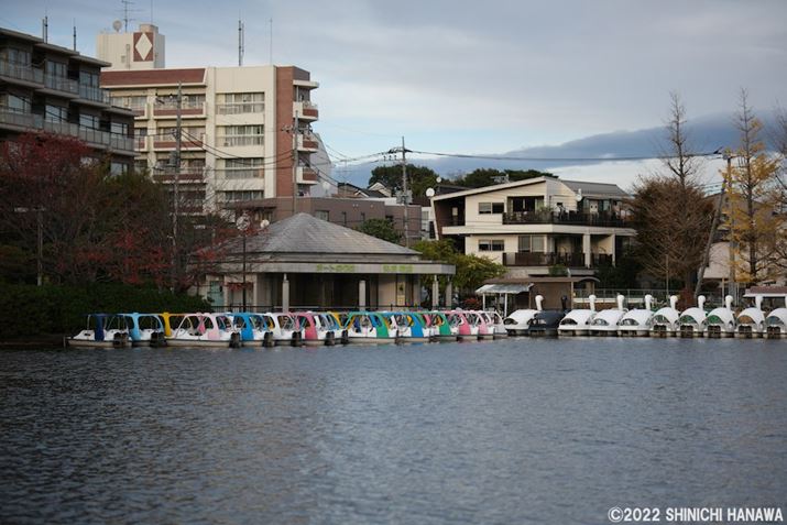 X-T5AXF56mmF1.2 R WRAF1.4A1/2900bAISO125AzCgoXFI[gizCgDjAtBV~[VFPROVIA/X^_[hBeʐ^i7728×5152A21.2MBAPhotoshopŒ쌠ǉj