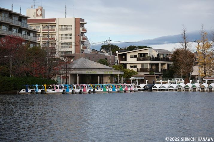 X-T5AXF56mmF1.2 R WRAF1.4A1/1500bAISO125AzCgoXFI[gizCgDjAtBV~[VFPROVIA/X^_[hBeʐ^i7728×5152A21.1MBAPhotoshopŒ쌠ǉj