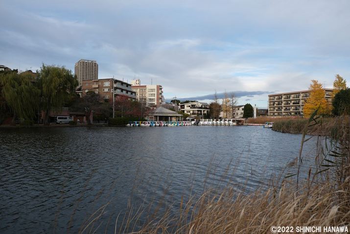 X-T5AXF18-55mmF2.8-4 R LM OISA18mmAF2.8A1/800bAISO125AzCgoXFI[gizCgDjAtBV~[VFPROVIA/X^_[hBeʐ^i7728×5152A20.6MBAPhotoshopŒ쌠ǉj