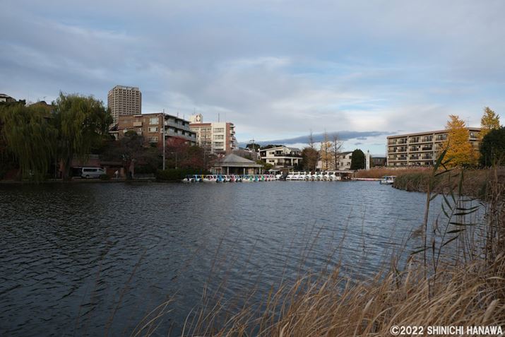 X-T5AXF18-55mmF2.8-4 R LM OISA18mmAF4A1/400bAISO125AzCgoXFI[gizCgDjAtBV~[VFPROVIA/X^_[hBeʐ^i7728×5152A20.7MBAPhotoshopŒ쌠ǉj