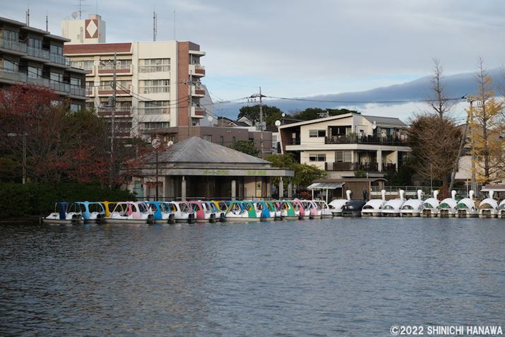 X-T5AXF18-55mmF2.8-4 R LM OISA55mmAF4A1/400bAISO125AzCgoXFI[gizCgDjAtBV~[VFPROVIA/X^_[hBeʐ^i7728×5152A23.5MBAPhotoshopŒ쌠ǉj