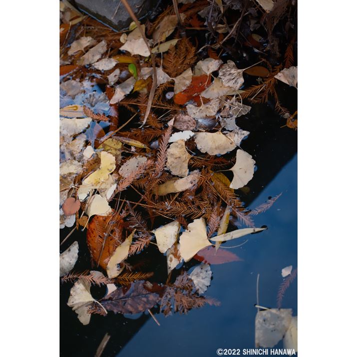 X-T5AXF30mmF2.8 R LM WR MacroAF2.8A1/75bAISO800AzCgoXFI[gizCgDjAtBV~[VFmX^WbNlKBeʐ^i5152×7728A25.4MBAPhotoshopŒ쌠ǉj