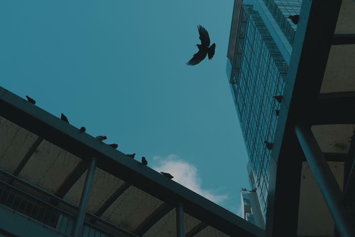 LUMIX S5IIALUMIX S 50mm F1.8AF4A1/4000bAISO640AWBFVAtHgX^CFA^CLUTBeʐ^i6000×4000A6.8MBj