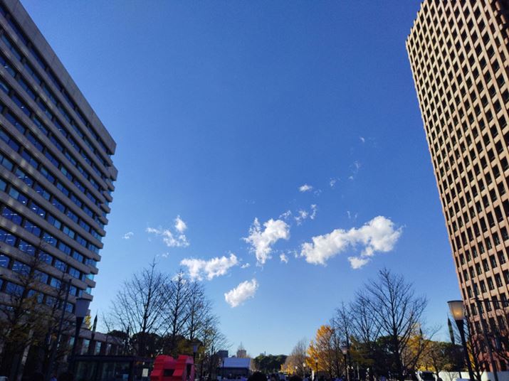 ṼrXBeA󂪑N₩ɎʂĂB\}̃r̓AƃmCYĂBÍɂ͂܂苭Ȃ悤<br>Beʐ^i4608×3456A5.56MBj