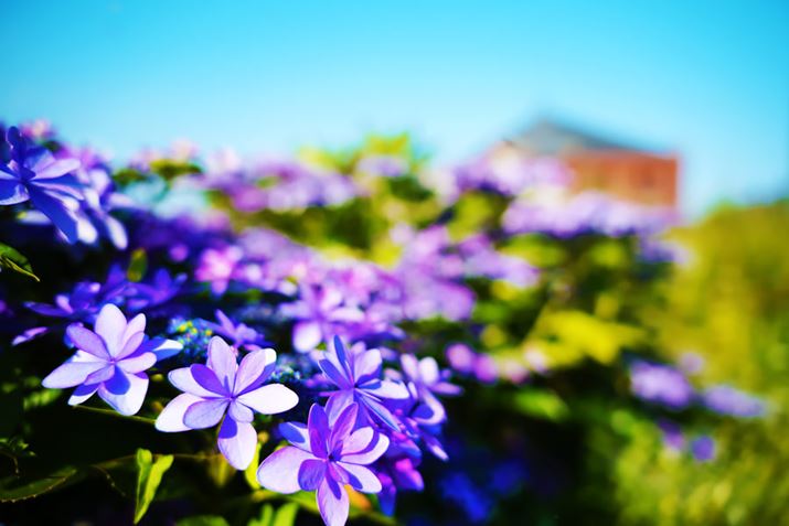 YfBXvCgĕҏWƁA̎ʐ^̂悤ɁARgXgʓxC[WɂȂ肪iLu[VĂȂfBXvCgāAi.com}KWҏWҏWʐ^łjBtɁA̎ʐ^RȐFŃLCɌĂ̂ł΁AfBXvC̐ݒύX┃ւ߂