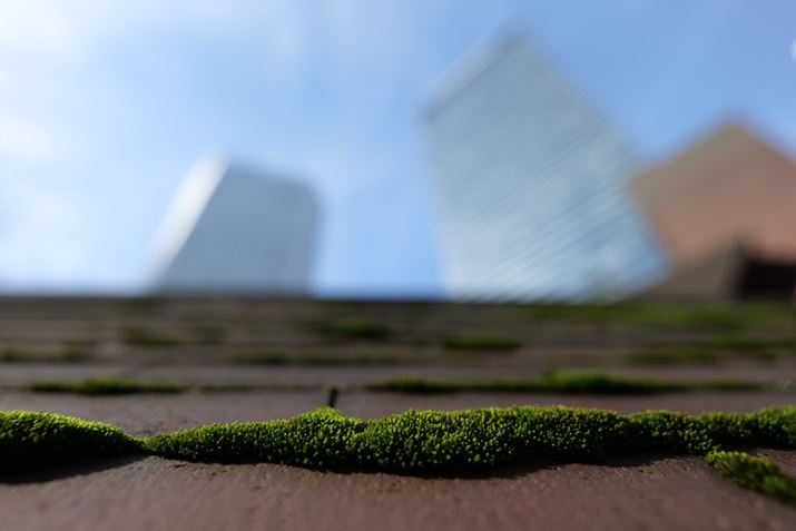 ŒZBet߂̓{P₷߁AF2.5ƏiĎBesBۂ̃sg͈͂Ɣwĩ{P̃oX悭Ȃ悤ɍil肵ĂLUMIX S5ALUMIX S 18mm F1.8AF2.5A1/800bAISO100AWBFVAtHgX^CFX^_[hBeʐ^i6000×4000A5.7MBj