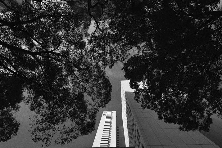 rɓƉêŁAYɌĎBeBL͈͂ʂĂ܂ꍇ͎ʑ̂łȂAOɂ̂t[~O邱ƂŋԂ𐶂ȂBełLUMIX S5ALUMIX S 18mm F1.8AF2.5A1/2000bAISO100AWBFVAtHgX^CFL.mN[Di jBeʐ^i6000×4000A13.8MBj